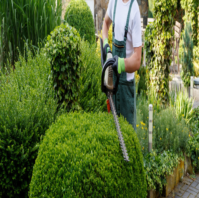 GARDEN MAINTENANCE