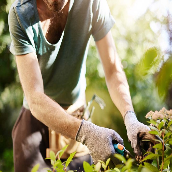 GARDEN MAINTENANCE